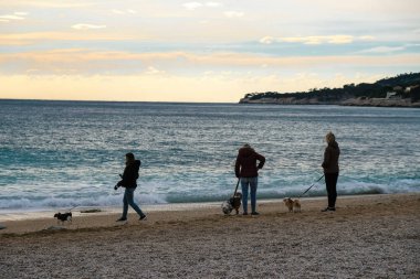 Cassis Fransa. 03 Şubat 2019. Üç kız köpeklerle kışın Akdeniz yürüyor.