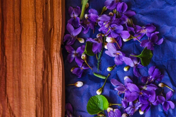 Veilchenblüten Und Pflaumenknospen Auf Einem Zerknüllten Blauen Papier Der Nähe — Stockfoto