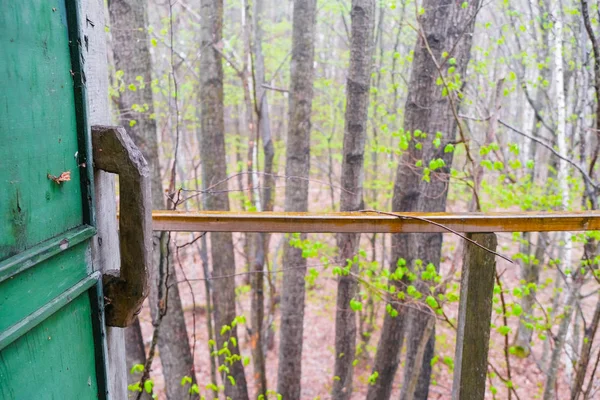 Wooden door handle on the green doors of the hunting observation point. Rainy spring day in the forest in Ukraine.
