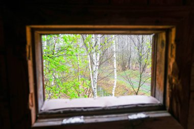 Ukrayna'da yağmurlu bir bahar gününde avcılık gözlem noktası ile pencereden ormanın görünümü.