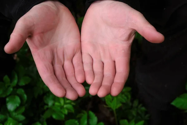Rozszerzone Ręce Człowieka Dłonie Skierowane Góry Tle Wiosennych Roślin Zielonych — Zdjęcie stockowe
