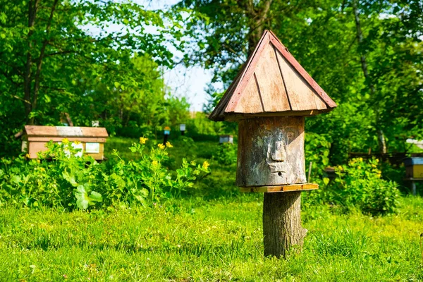 Isolated an ancient beehive from a log with a triangular roof on the background of the morning garden in Ukraine.