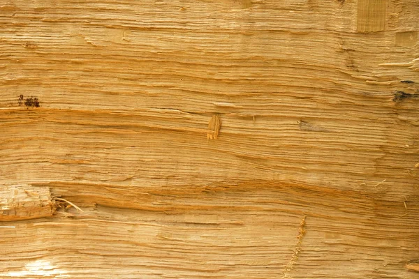 Isolated Wood Texture Oak Close Raw Wood Background Copy Space — Stock Photo, Image