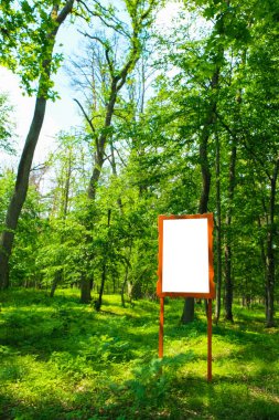 Ukrayna'da yaz aylarında derin bir ormanda bir bilgi afişi bir mock up.