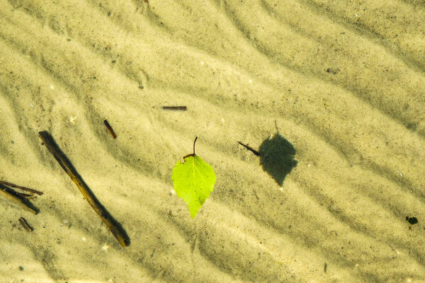  Березовый лист на поверхности озера с чистой водой. Текстура дна озера Свитяз. Природный заповедник Украина
.