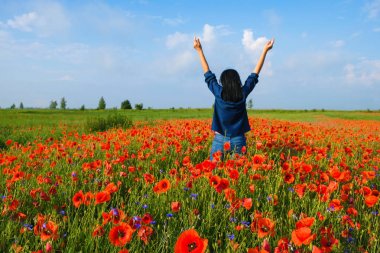 Mutlu Bayan 59 yıl mavi giysiler içinde eski Poppies alanında duruyor geri döndü. Kadın ellerini gökyüzüne kaldırdı. Ukrayna 'da yaz sabahı. Boşluk Kopyala.