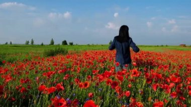 Mavi elbiseli 59 yaşındaki bir kadın haşhaş tarlasında duruyor geri döndü. Kadın rahatlamış hissediyor. Ukrayna'da yaz sabahı.