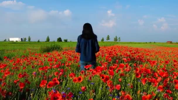 Una Mujer Años Campo Con Amapolas Mirando Camión Blanco Moverse — Vídeos de Stock