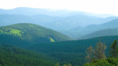 Güneşli günün yazında Karpat dağları. Ukrayna doğası. Turizm.