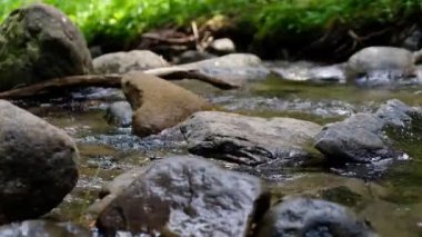  Ukrayna'da Karpat Dağları'ndaki taşlar arasında temiz su akışı.