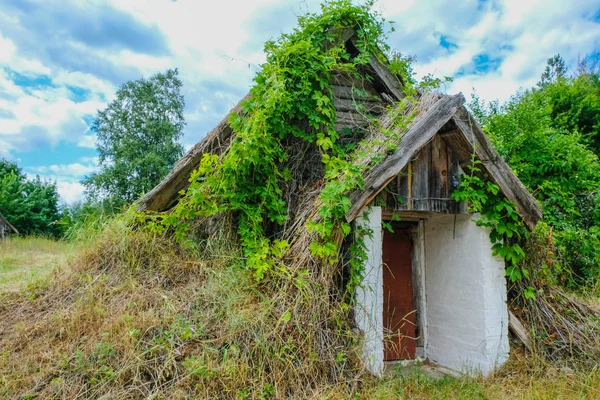 Volkstümliche Älteste Behausung Unter Einem Schilfdach Verschwindenden Dorf Svalovichi Der — Stockfoto