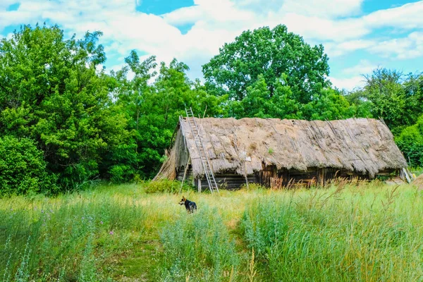 Het Oude Volks Gebouw Onder Een Rieten Dak Het Verdwijnende — Stockfoto