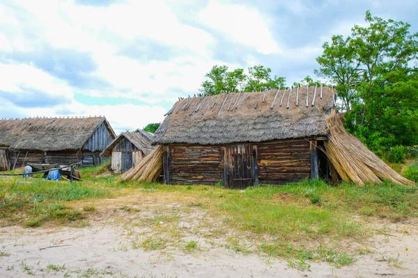 Volkstümliche Älteste Behausung Unter Einem Schilfdach Verschwindenden Dorf Svalovichi Der — Stockfoto