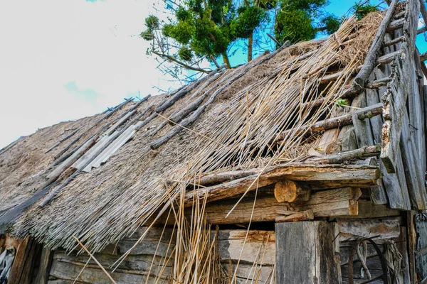 Das Verlassene Alte Volkstümliche Gebäude Unter Einem Schilfdach Verschwundenen Dorf — Stockfoto