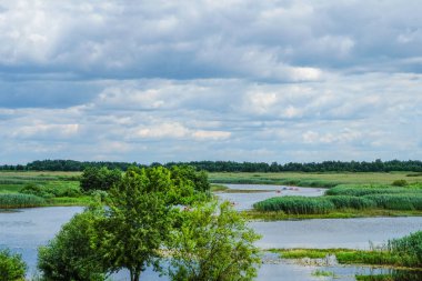 Yaz aylarında Pripyat nehri boyunca rafting. Ukrayna turizmi.