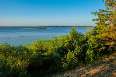 Ukrayna'da şafakvakti Büyük Göl Lubyaz. Sulak alan.