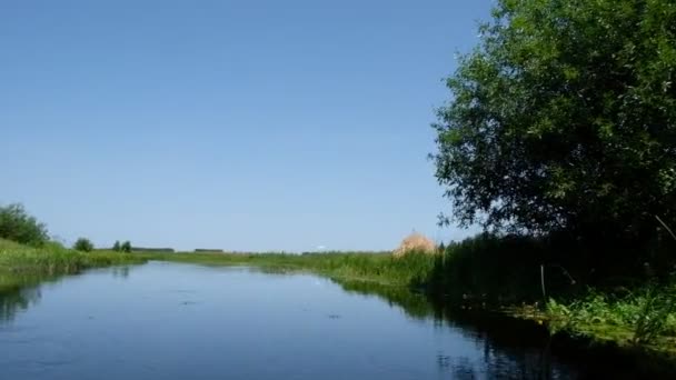 Ulusal Park Pripyat Stokhid Topraklarında Nehir Pripyat Nehir Boyunca Alaşım — Stok video