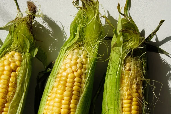 Три Свежих Кукурузы Зеленом Листе Внутри Закрыть — стоковое фото