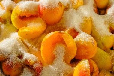 Reçel için şeker dilimlenmiş kayısı. Güneş ışığında kapalı. Ev yapımı. Yakın çekim.