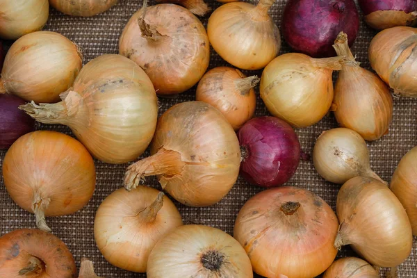 Laranja Cebola Roxa Uma Tela Áspera Fechar — Fotografia de Stock