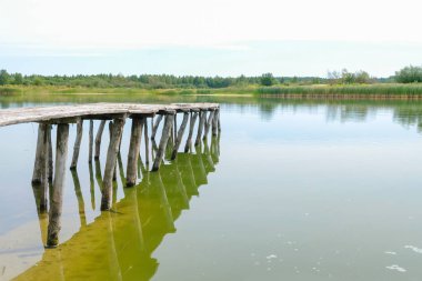 Gölde terk edilmiş ahşap bir köprü. Köprü el işi. Ukrayna 'daki gölde düşük su seviyesi.