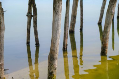 Kuraklıkta sudaki köprüyü destekleyin. Ukrayna'da gölde düşük su seviyesi. Yakın çekim.