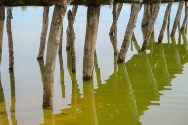 Kuraklıkta sudaki köprüyü destekleyin. Ukrayna'da gölde düşük su seviyesi.