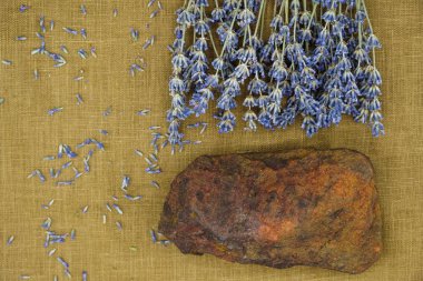 Kuru lavanta ve kaya formu Roussillon. Ocher kirleri ile taş. Provence'da sonbahar. Kopyalama alanı.