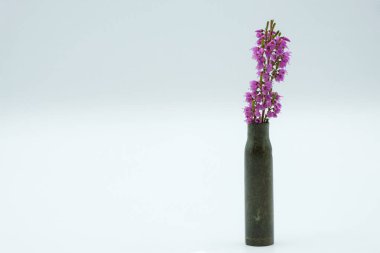 Beyaz arka planda kartuş kollu Heather dalı. Kavram.