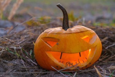 Sonbahar alanında alacakaranlıkta kuru çim üzerinde Kabak Halloween sembolü. Kabak Halloween gülümseme dişleri yerine paslı tırnaklar vardır.