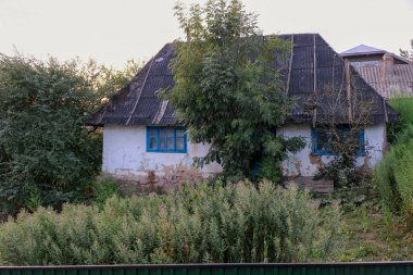 Ukrayna'da uzun boylu çim ve ağaçlar ile büyümüş bahçesinde küçük pencereleri ile eski bir boş ev. Günbatımı.