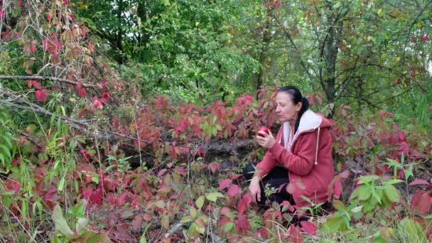 一位59岁的妇女坐在一片粉红色的野葡萄叶上 吃着一个苹果 女人在开玩笑女人把苹果扔上来 改变人生哲学的概念 自我孤立的概念 — 图库视频影像