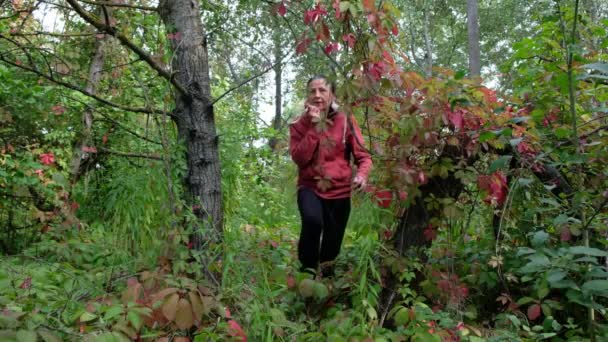 59歳のスポーティな女性が生い茂った森の中を歩いている 秋の冒険 ウクライナの自然 自己分離概念 — ストック動画