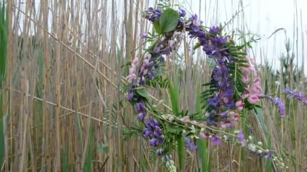 Wreath Multicolored Wild Flowers Sways Wind Background Dry Reeds Cloudy — Stock Video