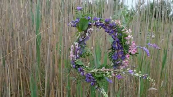 Een Krans Van Veelkleurige Wilde Bloemen Zwaait Wind Een Achtergrond — Stockvideo