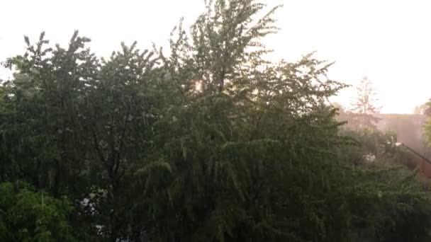 Zon Regen Tegelijk Roze Zonsondergang Tijdens Regen Een Klein Stadje — Stockvideo