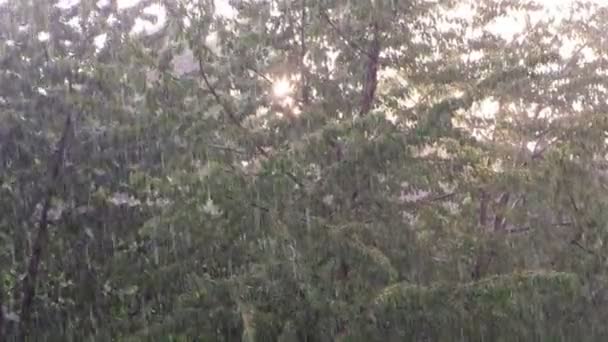 乌克兰州卢茨克日落时分 风暴表面一片模糊 太阳和雨在同一时间 粉红色的雷雨 — 图库视频影像