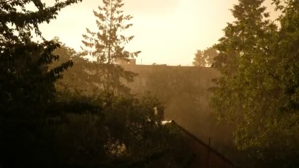乌克兰一个小镇暴雨中的粉色落日 太阳和雨在同一时间 风摇曳着树木 — 图库视频影像