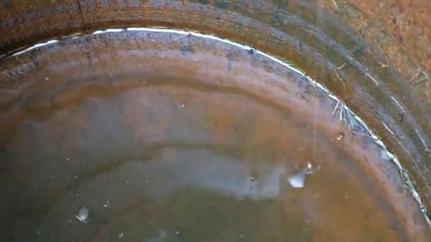 Des Gouttes Pluie Tombent Dans Baril Eau Rouillé — Video