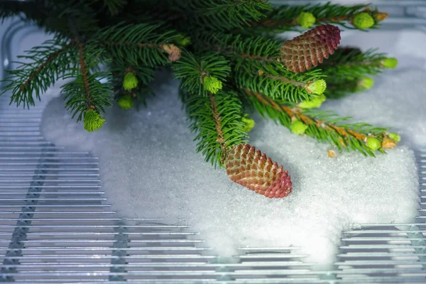 Natal Congelador Ramo Abeto Com Cones Vermelhos Neve Artificial Refrigerador — Fotografia de Stock