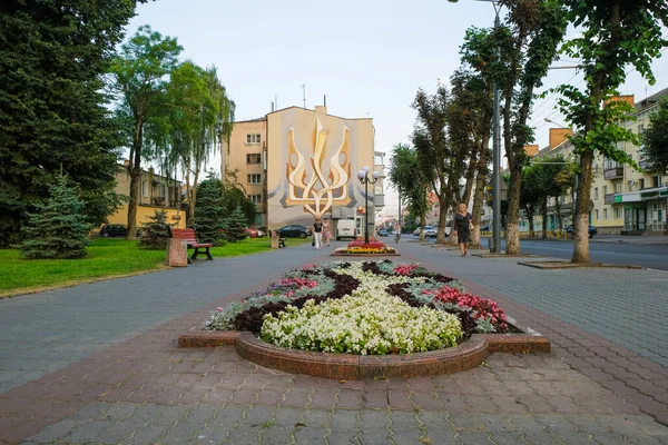 Lutsk Volyn Region Ukraine August 2020 Flower Beds Colorful Flowers — Stock Photo, Image