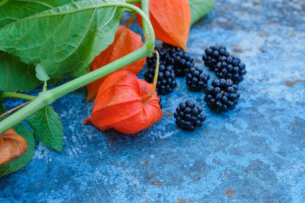 蓝色锈蚀表面上的黑莓和植物 — 图库照片