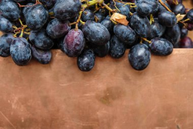 Bakır plakalı mor üzümler. Boşluğu kopyala.