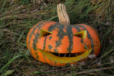  Cadılar Bayramı balkabağı sembolü çimlerin üzerinde. Balkabağı dişleri metal tırnaklardır..