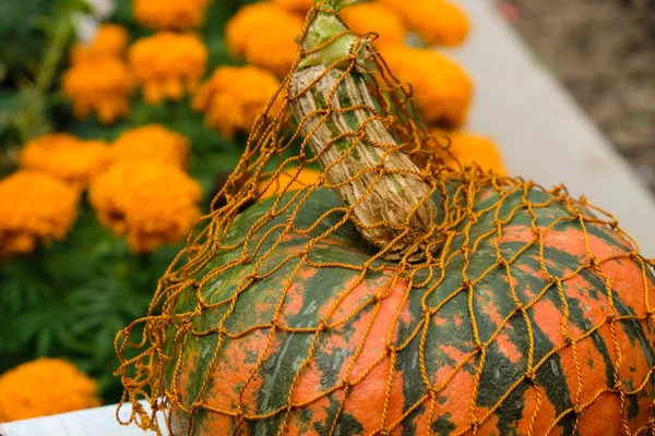 Érett Tök Egy Narancssárga Fonott Zsák Háttér Narancs Virágok — Stock Fotó