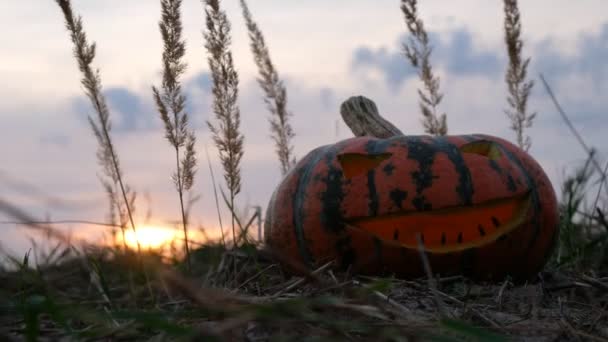 Gesneden Pompoen Halloween Jack Lantaarn Decoratie Verlicht Met Brandende Kaars — Stockvideo