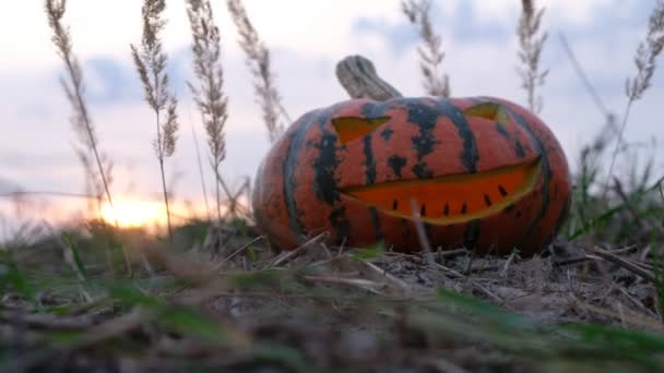 Wyrzeźbiona Dynia Halloween Dynia Tle Zachodu Słońca Polu Ogień Świecy — Wideo stockowe