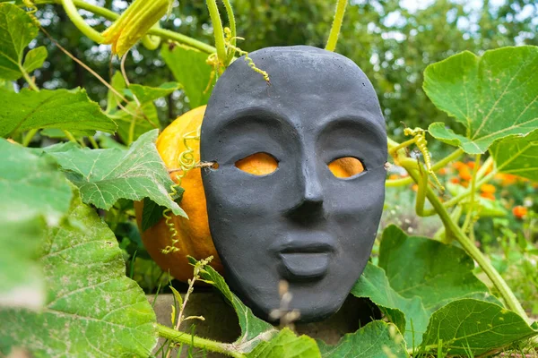 Abóbora Laranja Uma Máscara Preta Jardim Decoração Casa Para Halloween — Fotografia de Stock
