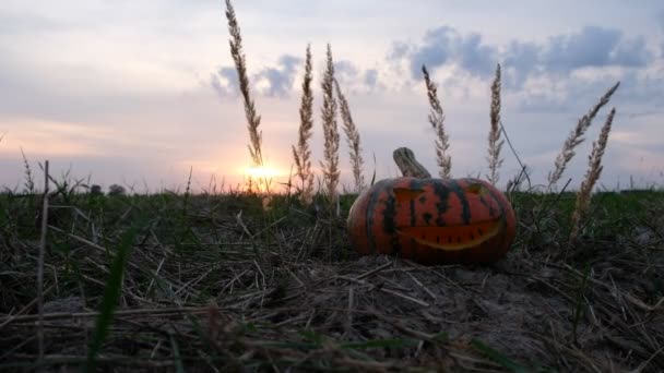 Mistyczny Wietrzny Wieczór Polu Halloween Wyrzeźbiona Dynia Tle Zachodu Słońca — Wideo stockowe