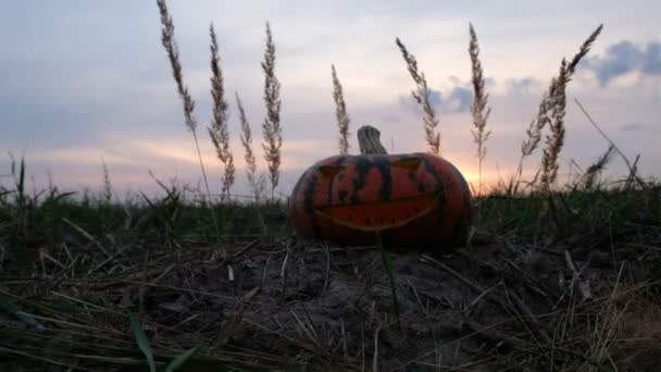 Una Velada Mística Ventosa Campo Halloween Calabaza Tallada Sobre Fondo — Vídeo de stock